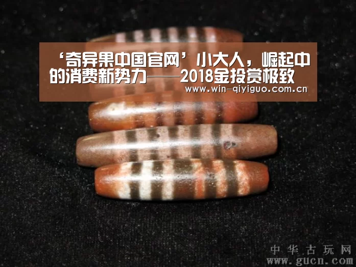 ‘奇异果中国官网’小大人,崛起中的消费新势力——2018金投赏极致传媒专场(图3) 奇异果中国官网