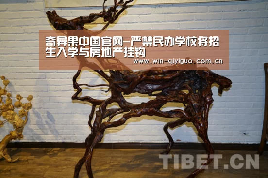 奇异果中国官网-严禁民办学校将招生入学与房地产挂钩(图1) 奇异果官网首页